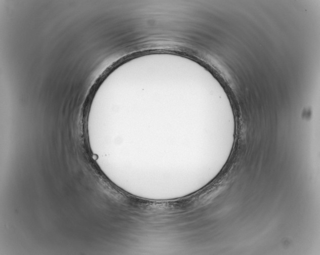 X0000090410883200708101917