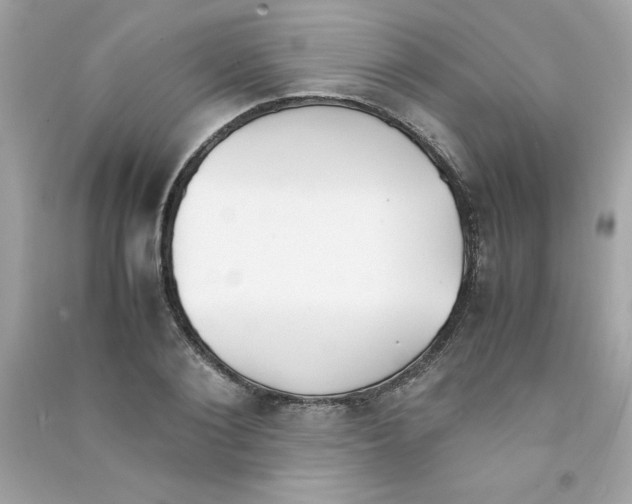 X0000090410884200708101917