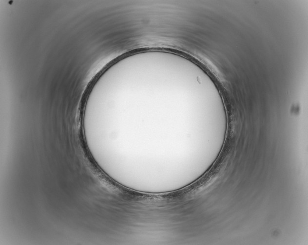 X0000090410885200708101917