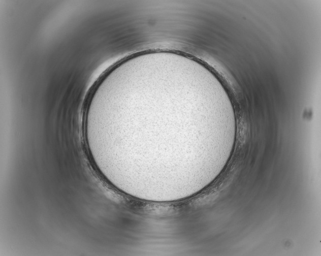 X0000090410886200708101917