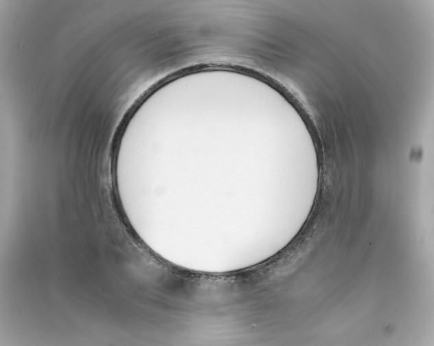 X0000090410887200708101917