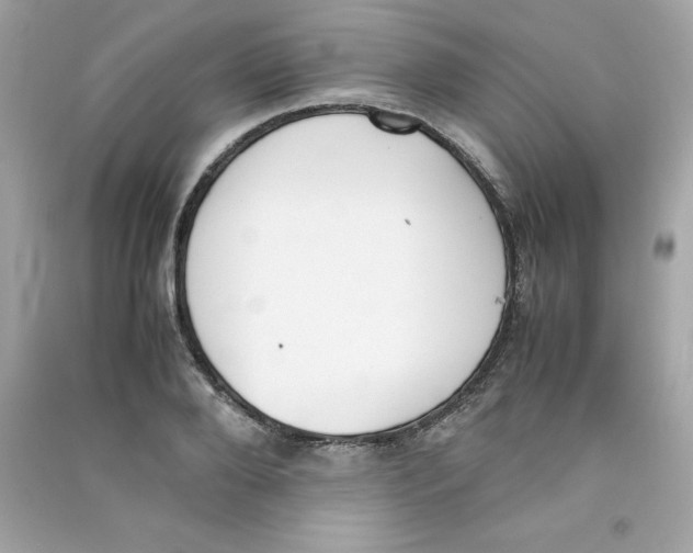 X0000090410888200708101917