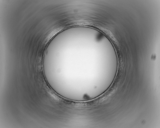 X0000090410889200708101917