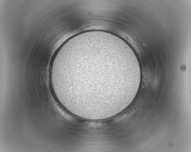 X0000090410890200708101917