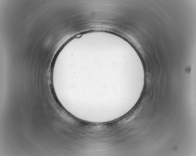 X0000090410891200708101917