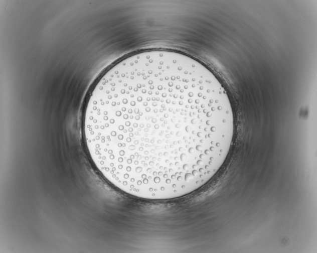 X0000090410892200708101917