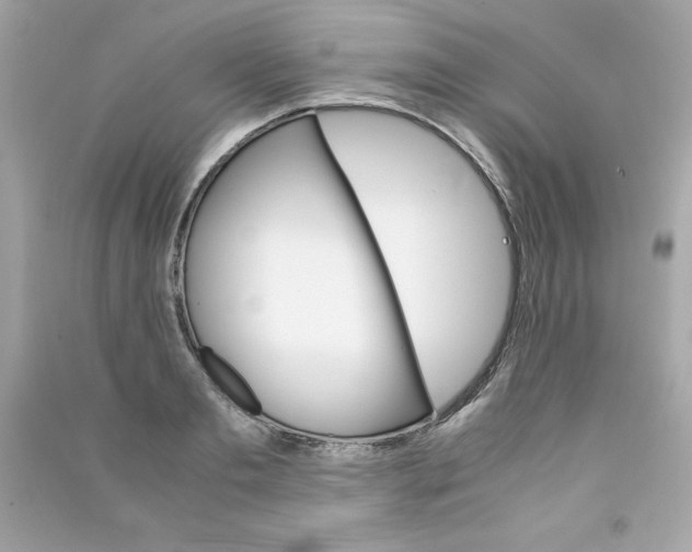 X0000090410893200708101917