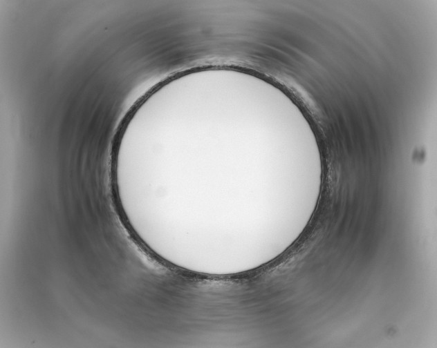 X0000090410894200708101917