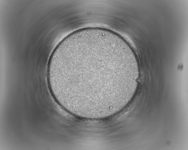 X0000090410895200708101917