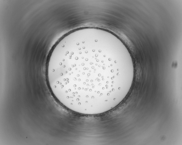 X0000090410896200708101917