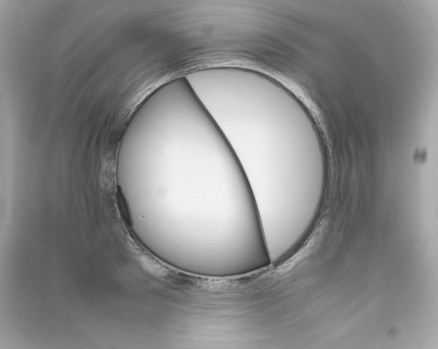 X0000090410897200708101917