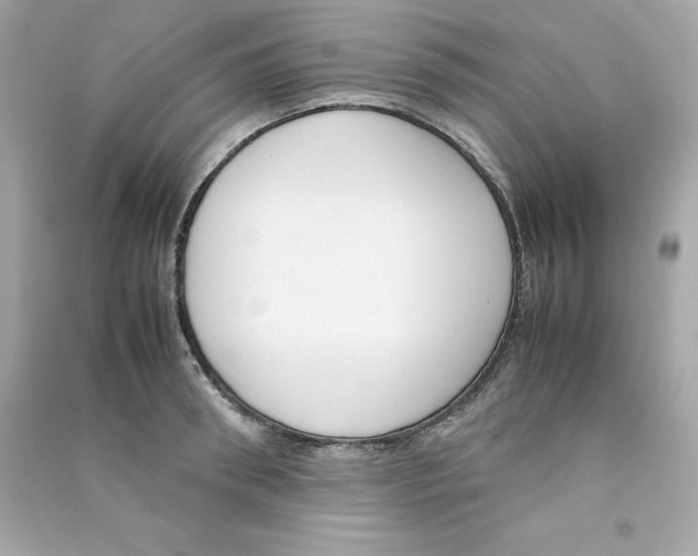 X0000090410898200708101917