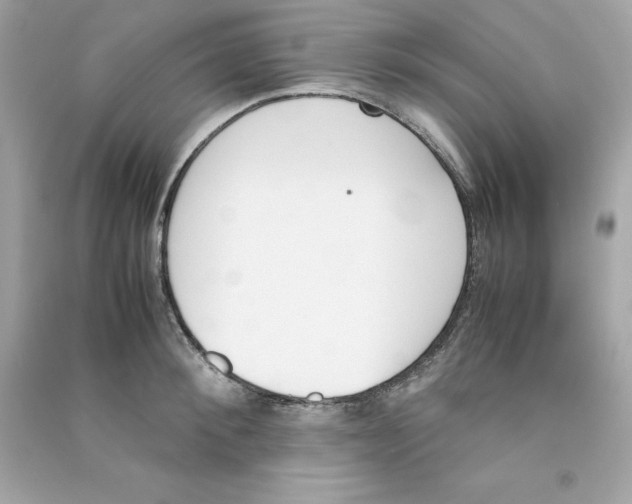X0000090410900200708101917