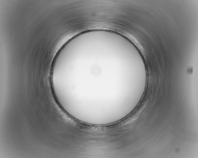 X0000090410901200708101917