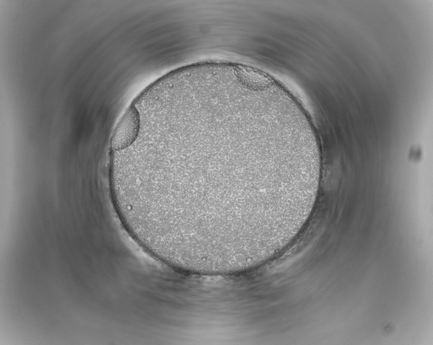 X0000090410903200708101917