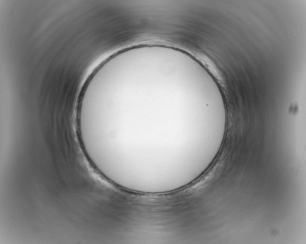 X0000090410904200708101916
