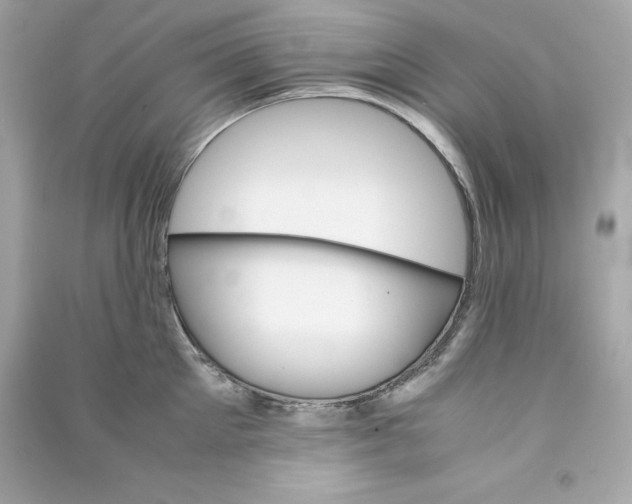 X0000090410905200708101916
