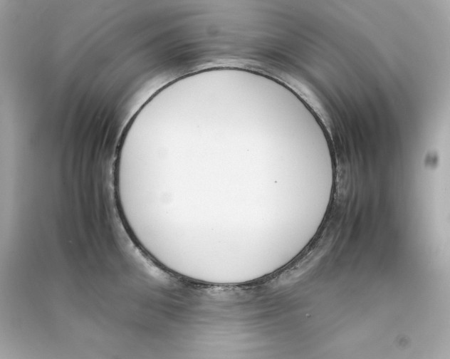X0000090410906200708101916