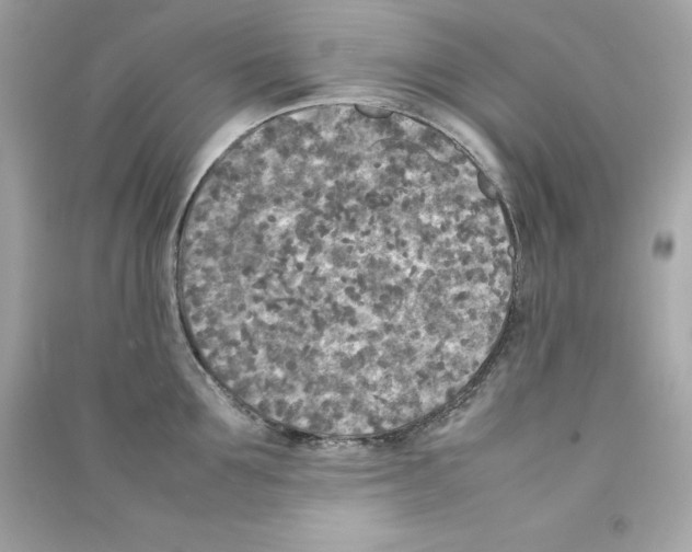 X0000090410907200708101916
