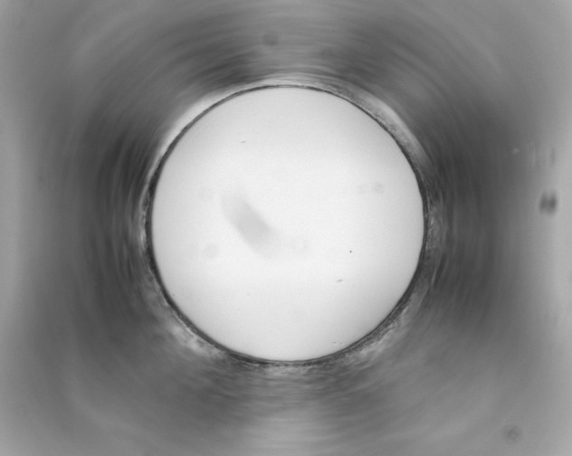 X0000090410908200708101916