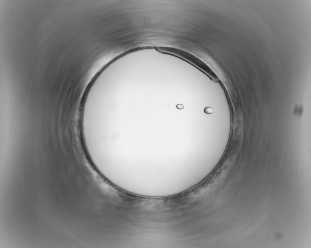 X0000090410909200708101916