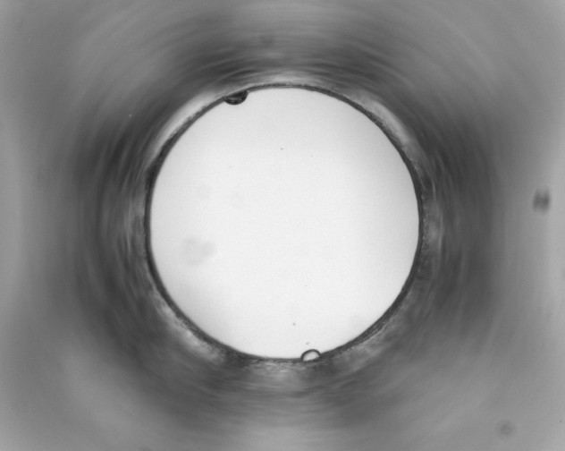 X0000090410910200708101916