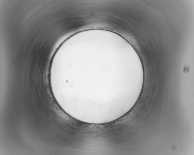X0000090410912200708101916