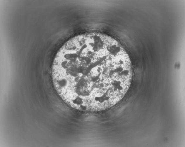 X0000090410913200708101916
