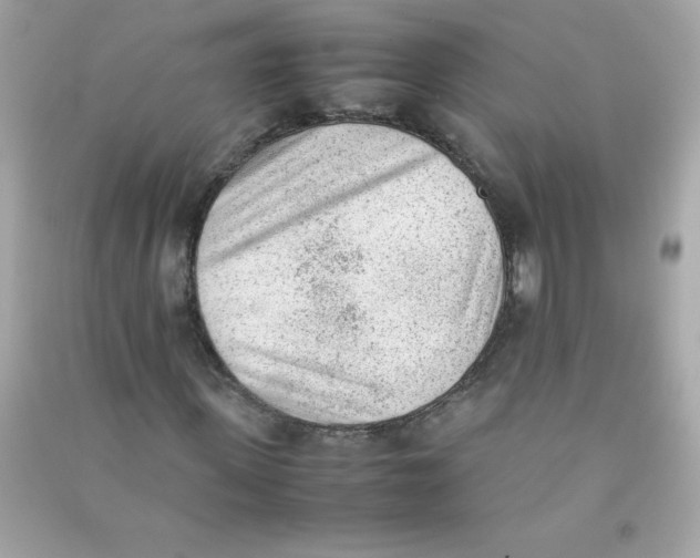 X0000090410915200708101916