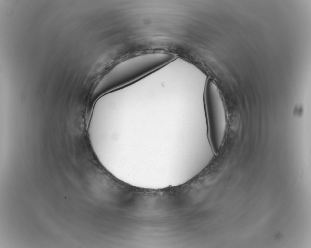 X0000090410916200708101916