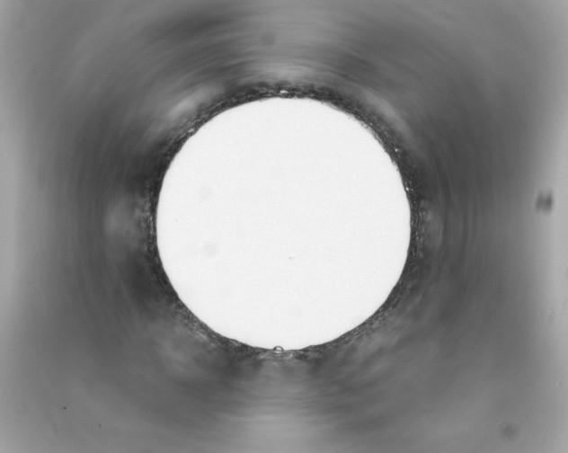 X0000090410918200708101916