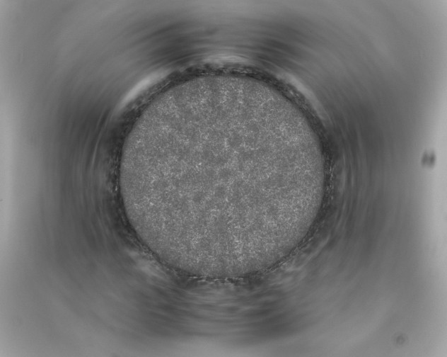 X0000090410919200708101916