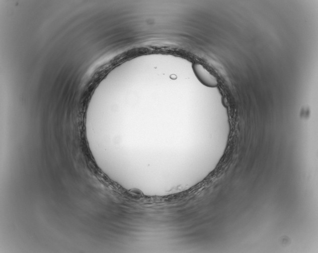 X0000090410920200708101916