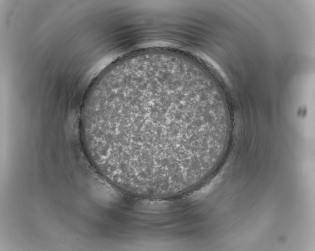 X0000090410921200708101916
