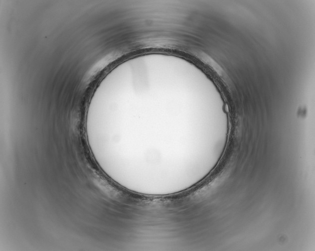 X0000090410922200708101916