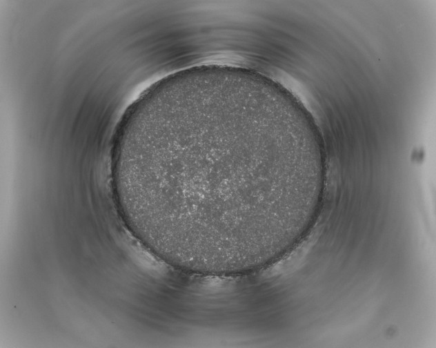 X0000090410923200708101916