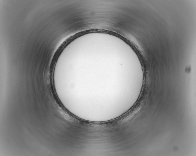 X0000090410924200708101916