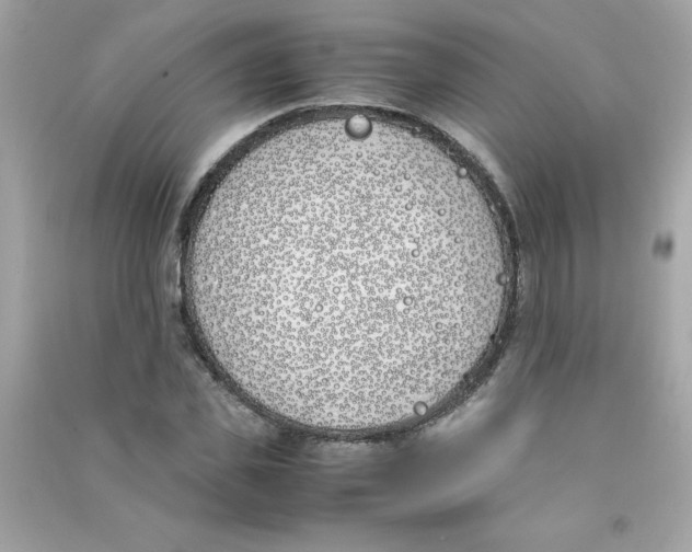 X0000090410925200708101916