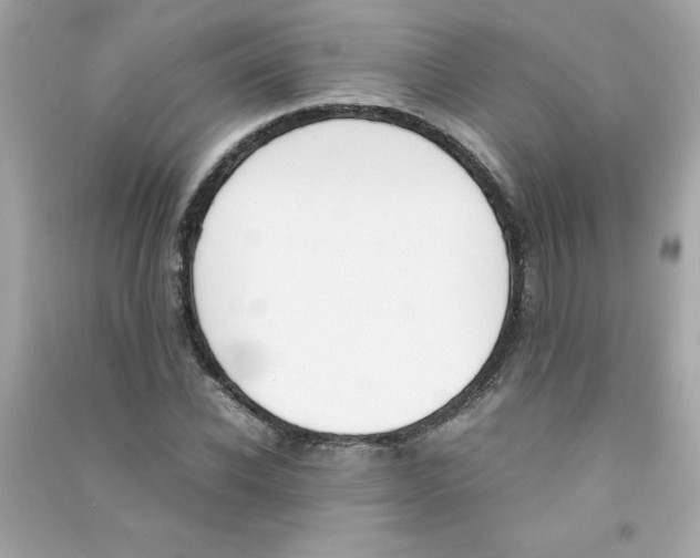 X0000090410926200708101916