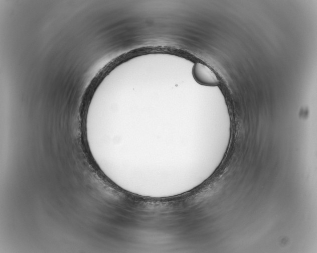 X0000090410927200708101916