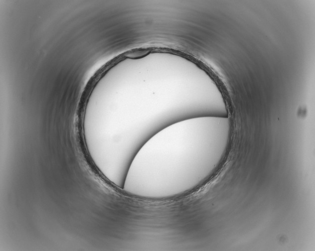 X0000090410928200708101916