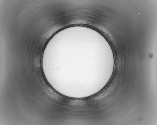 X0000090410929200708101916