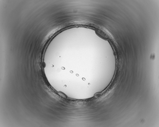 X0000090410930200708101916