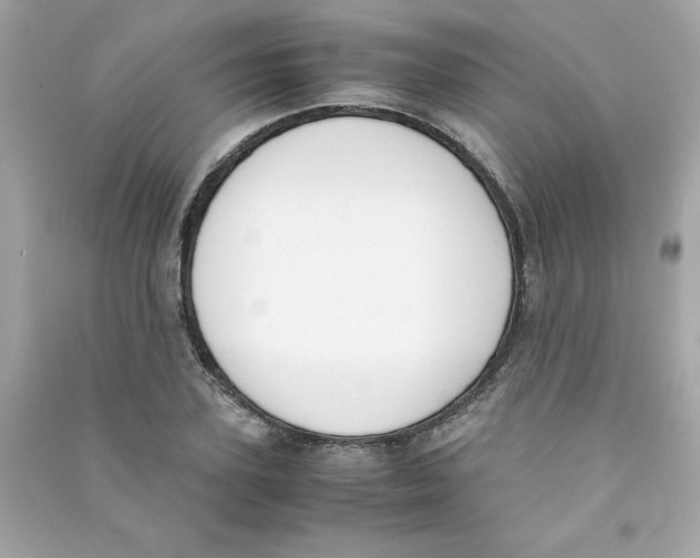X0000090410931200708101916