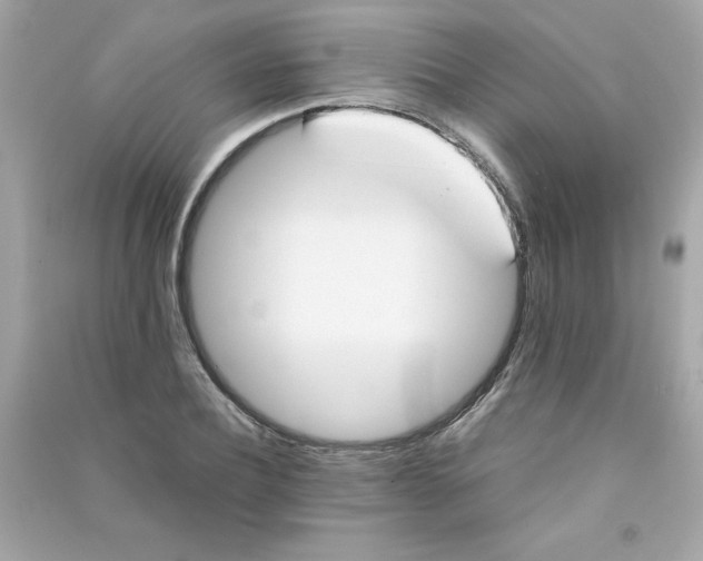 X0000090410932200708101916