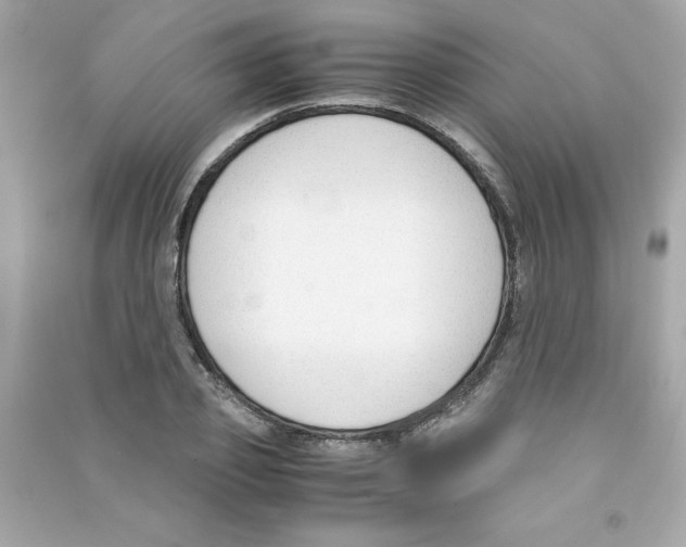 X0000090410933200708101916