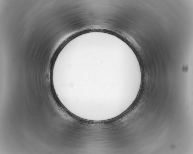 X0000090410934200708101916