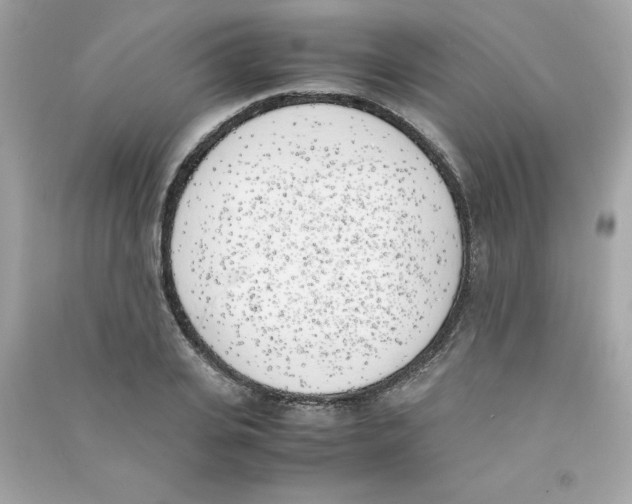X0000090410935200708101916