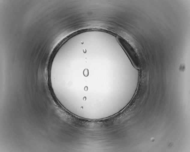 X0000090410936200708101916