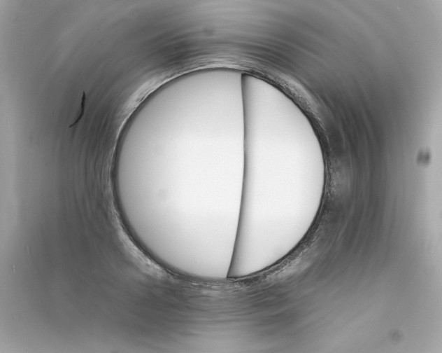 X0000090410938200708101916